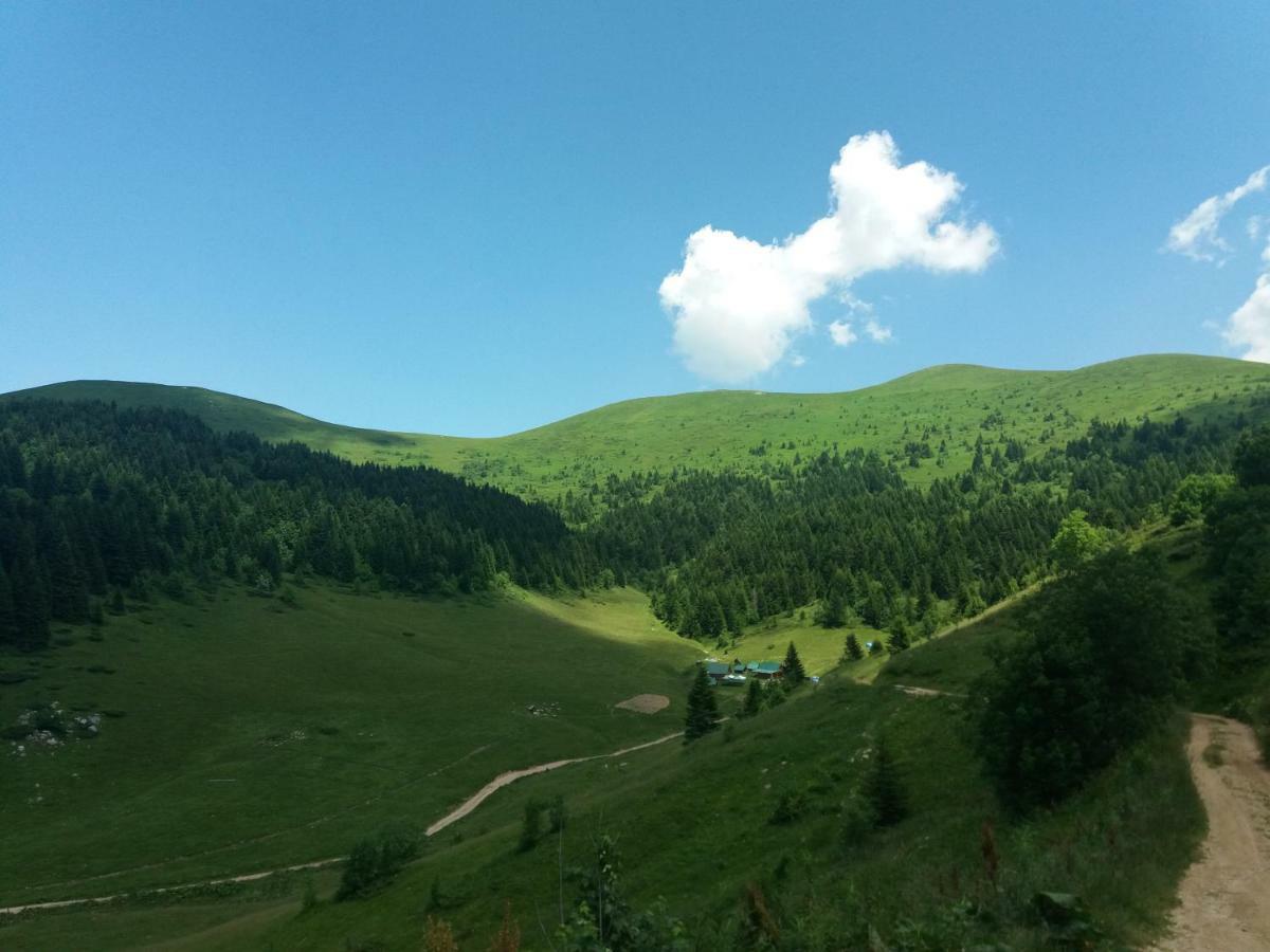 Eko Katun Damjanovic - Bjelasica Mojkovac Buitenkant foto