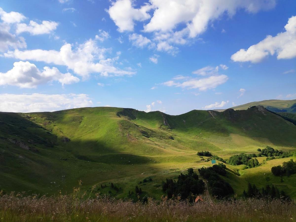 Eko Katun Damjanovic - Bjelasica Mojkovac Buitenkant foto