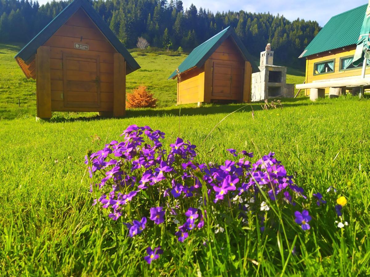 Eko Katun Damjanovic - Bjelasica Mojkovac Buitenkant foto